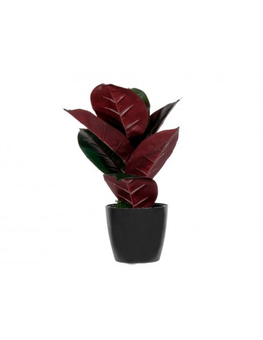 Planta artificial paperflow ficus...