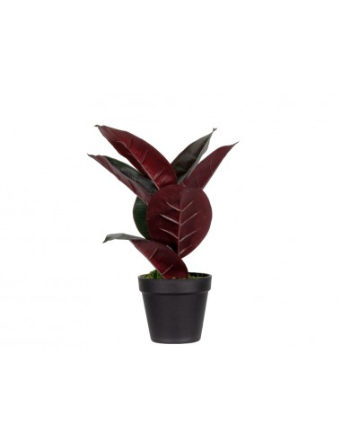 Planta artificial paperflow ficus...