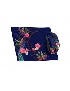 Catifa de raton + raton...