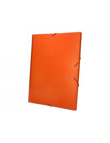 Carpeta classificadora liderpapel 12...