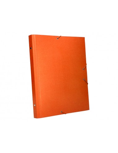 Carpeta classificadora liderpapel 12...