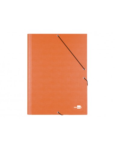 Carpeta classificadora liderpapel 12...