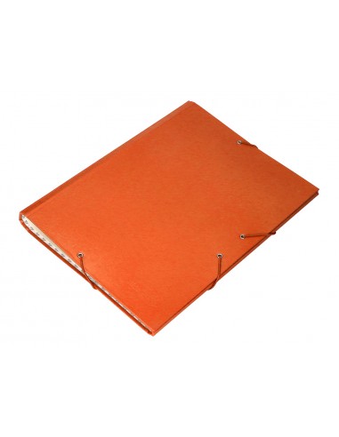 Carpeta classificadora liderpapel 12...