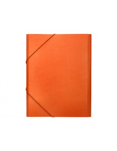 Carpeta classificadora liderpapel 12...