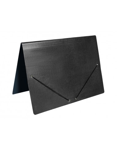 Carpeta plans liderpapel a2 cartró...