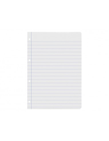 Recanvi liderpapel din a4 100 fulls...