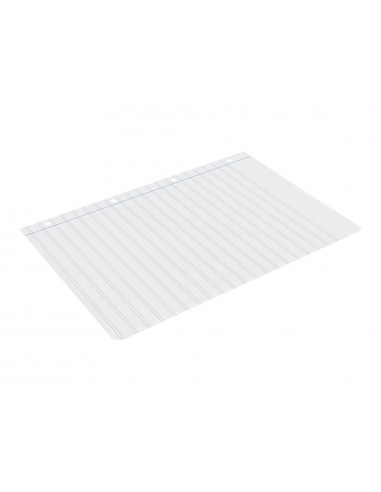 Recanvi liderpapel din a4 100 fulls...