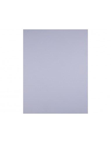 Cartolina liderpapel 50x65 cm lila...