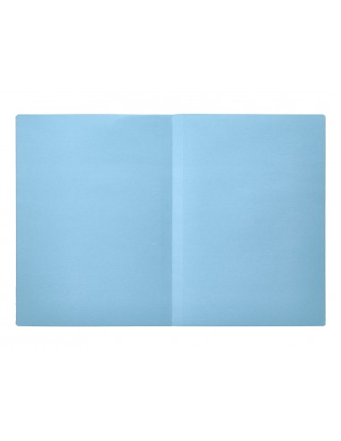Subcarpeta liderpapel foli celest...