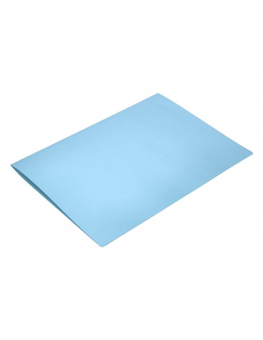 Subcarpeta liderpapel foli celest...