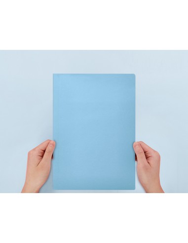Subcarpeta liderpapel foli celest...