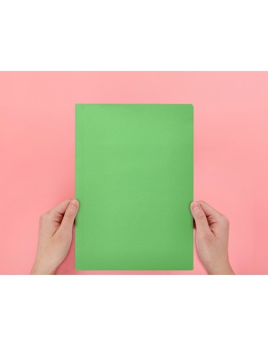 Subcarpeta liderpapel foli verd...