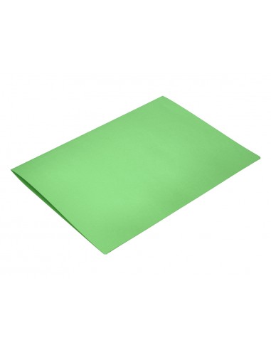 Subcarpeta liderpapel foli verd...