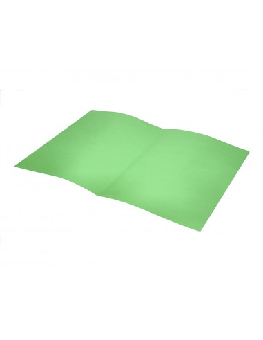 Subcarpeta liderpapel foli verd...