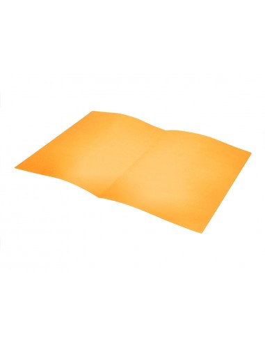 Subcarpeta liderpapel foli taronja...