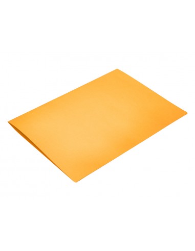 Subcarpeta liderpapel foli taronja...