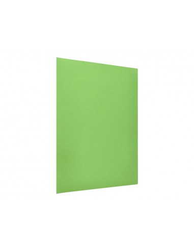 Subcarpeta liderpapel din a4 verd...