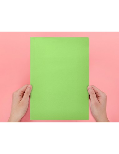 Subcarpeta liderpapel din a4 verd...