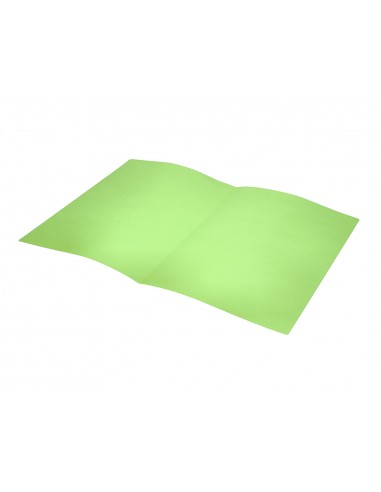 Subcarpeta liderpapel din a4 verd...