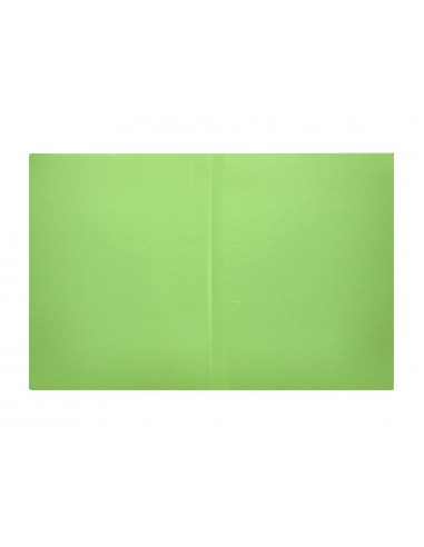 Subcarpeta liderpapel din a4 verd...
