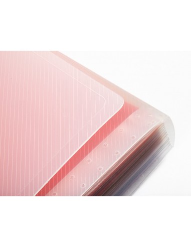 Carpeta liderpapel classificador...