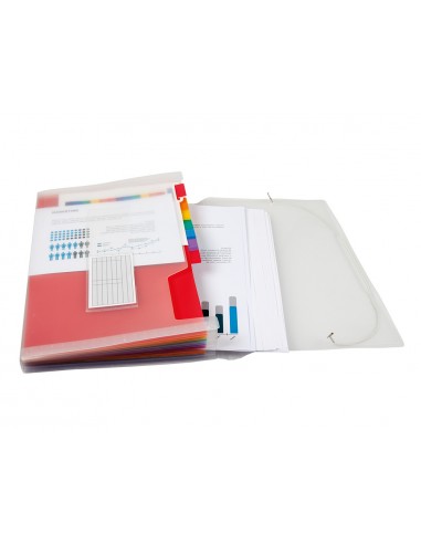 Carpeta liderpapel classificador...