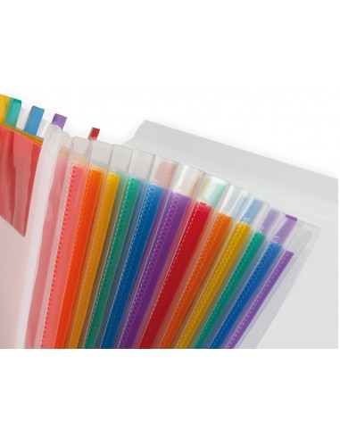 Carpeta liderpapel classificador...
