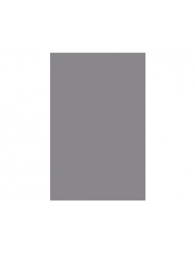 Cartolina liderpapel 50x65 cm gris...