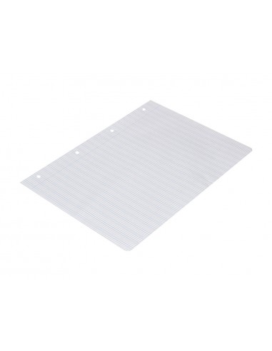 Recanvi liderpapel a4 pautaguia 100...