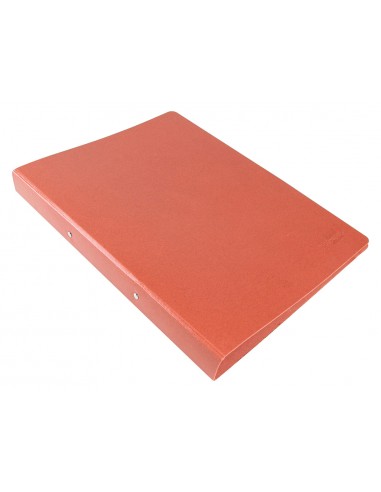 Carpeta de 2 anelles 25mm rodones...