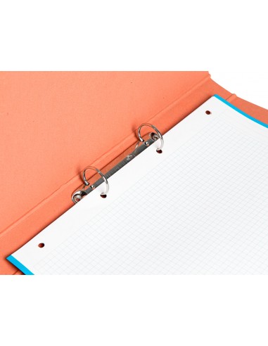 Carpeta de 2 anelles 25mm rodones...