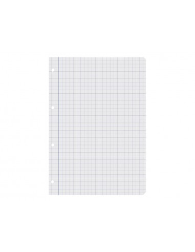 Recanvi liderpapel a4 100 fulls...