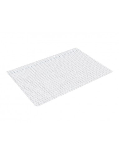 Recanvi liderpapel a4 100 fulls...