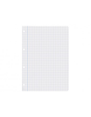 Recanvi liderpapel a4 100 fulls...