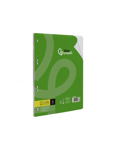 Recanvi liderpapel a4 100 fulls...