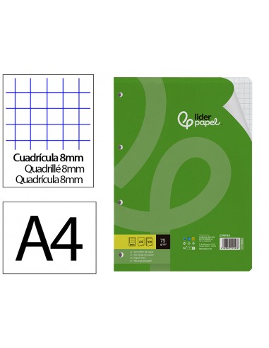 Recanvi liderpapel a4 100 fulls...