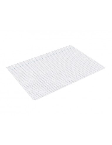Recanvi liderpapel a4 100 fulls...