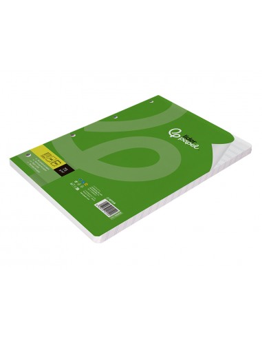 Recanvi liderpapel a4 100 fulls...