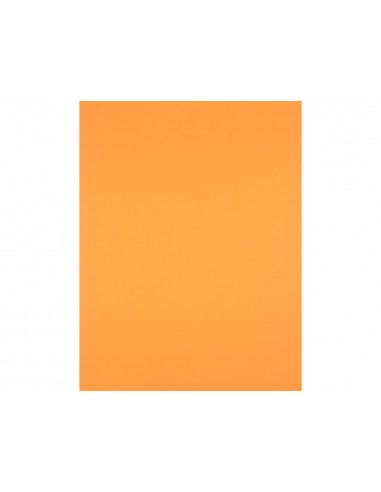 Cartolina liderpapel 50x65 cm 240g/m2...