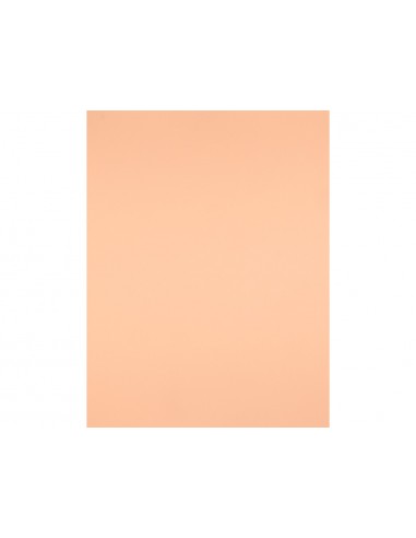 Cartolina liderpapel 50x65 cm 240g/m2...