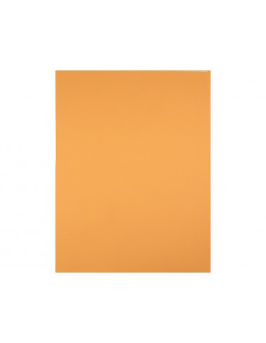 Cartolina liderpapel 50x65 cm 180 gr...