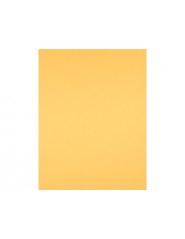 Cartolina liderpapel 50x65 cm 180 gr...