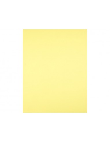 Cartolina liderpapel 50x65 cm 180 gr...