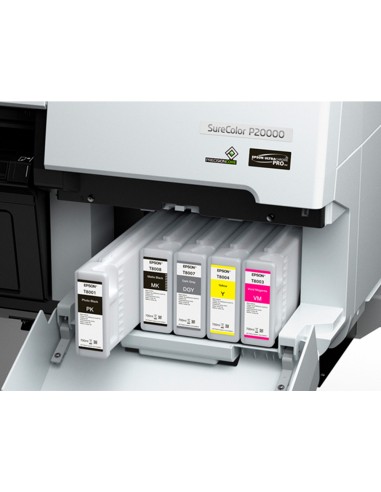 Ink-jet epson singlepack dark gray...