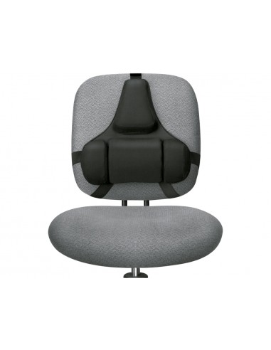 Suport ergonomic professional fellowes