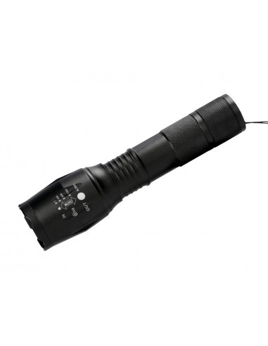 Llanterna q-connect telescopica...