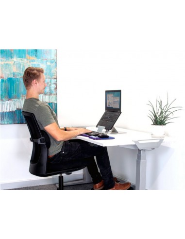 Suport fellowes hylyft per a portatil...