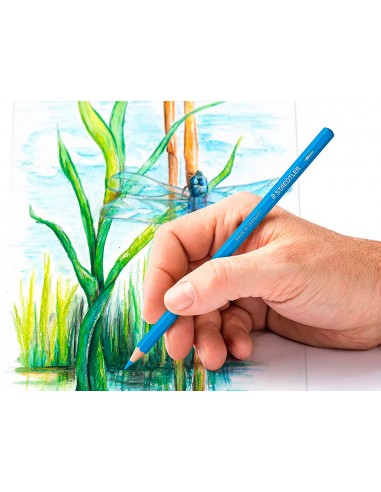 Llapis de colors staedtler...