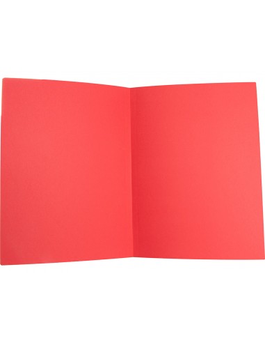 Subcarpeta cartolina liderpapel foli...