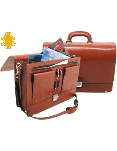 Cartera portafolis q-connect...